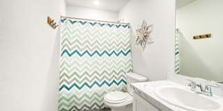 156 Dotty Lou Gallery 36