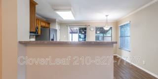 10343 Lion Chase Gallery 10