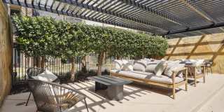 Dorian and Encore Gallery 38