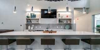 Aster at the Summit Gallery 14