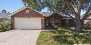 3409 VIOLET DR. Gallery 1