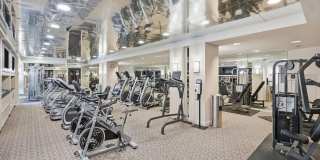 11710 OLD GEORGETOWN Gallery 12