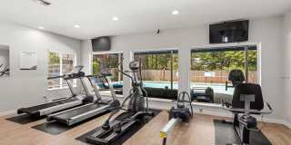 Avana Chestnut Hill Gallery 33