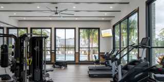 Aventon Isabelle Gallery 36