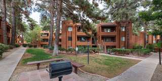 4704 E Paradise Village Parkway Gallery 43