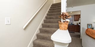 Hidden Creek Gallery 26