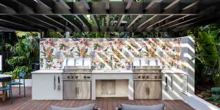 Aster & Links Gallery 14