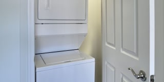 Phoenix View Gallery 12