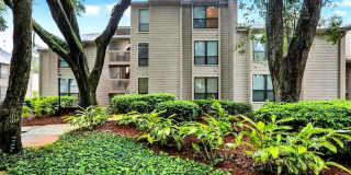 79 Lighthouse Rd Apt 2411 Gallery 1