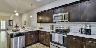 LEO at the Sanctuary Gallery 2