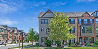 43509 APPLE ORCHARD Square Gallery 1
