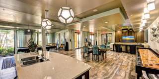 The Views at Harbortown Gallery 29