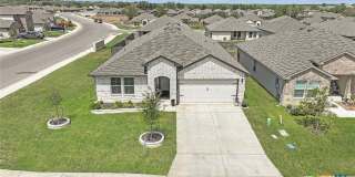 801 Cinnamon Teal Gallery 1
