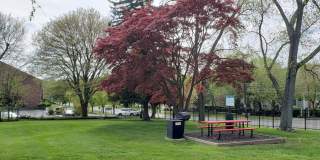 Hewitt Gardens Gallery 78