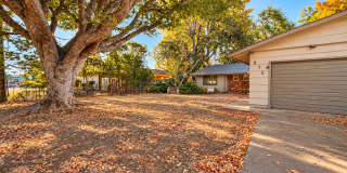 Charming 3-Bedroom Home with a Spacious Backyard in Central Chico! Charming 3-Bedroom Home with a Spacious Backyard in Central Chico! Gallery 1
