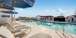 Yardly Beltmill Yardly Beltmill Gallery 19