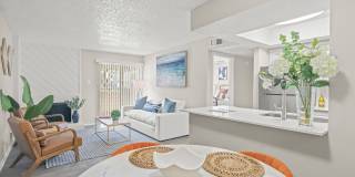 District 2308 Gallery 39