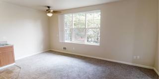 Terrace View Gallery 17