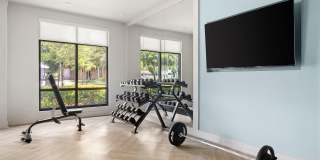 The Rosery Gallery 17