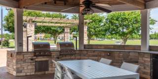 Red Knot at Edinburgh Gallery 33