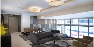 Ellis Bethesda Gallery 52