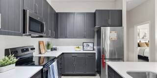 Axis Camelback Gallery 3