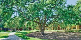 Indian Oaks Apartments Gallery 25