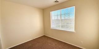 4467 E Dandelion Street Gallery 16