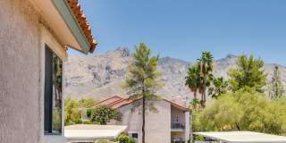 6441 N Tierra De Las Catalinas Gallery 31