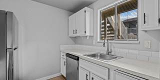 Shannon South Gallery 10