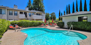 Larkspur Larkspur Gallery 1