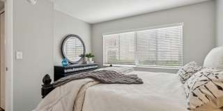 Buena Vista Gallery 66