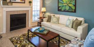 The Versailles Gallery 13