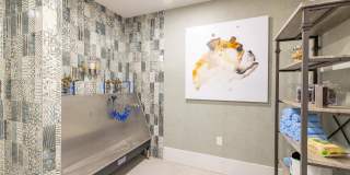 Forena Revelstoke Gallery 52