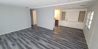253 Sago Palm St Gallery 6