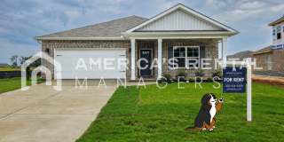 New Construction Home for Rent! Gallery 1