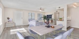 Rise Camelback Gallery 20