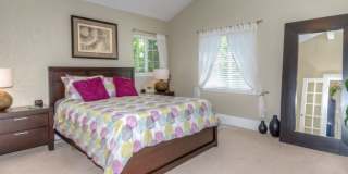 Trailside Living: 5BR Home Steps from Sanitas & Pearl Street Gallery 12