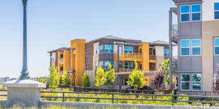 The Braydon Gallery 67