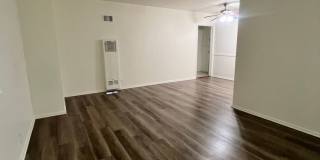#705 Gallery 19