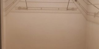 1311 ALFONZO CIRCLE Gallery 19