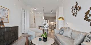 Reveal Lake Ridge Gallery 31