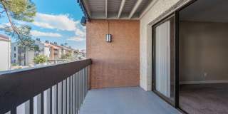 Renaissance Gallery 3