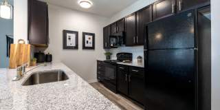 Moonlight Moonlight Gallery 9