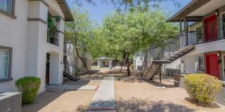 Agave Court Gallery 16