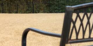 Harbins Manor Gallery 1