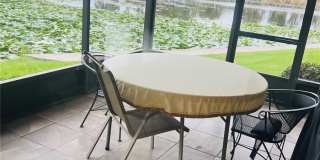 832 PALM HARBOR COURT Gallery 4