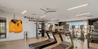 Springs at Sandstone Ranch Gallery 33