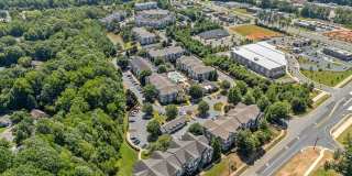 Hawthorne at the Greene Gallery 42