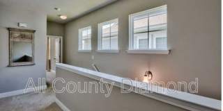107 Enchantment Falls Ln Gallery 11